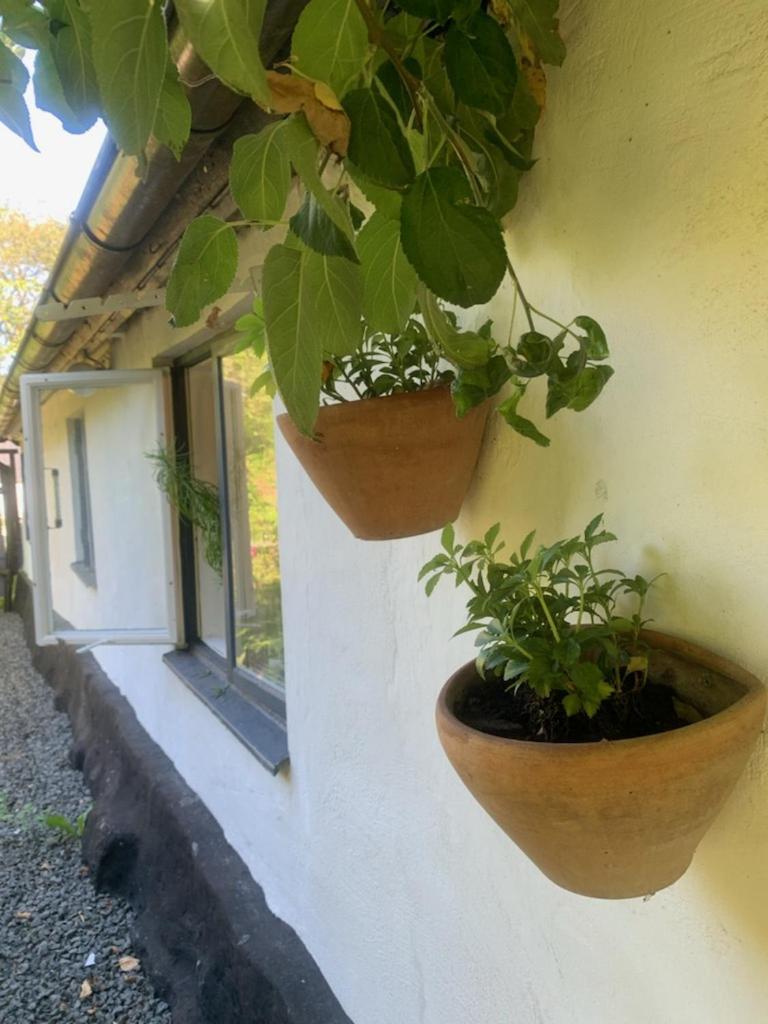 Villa Millans Dockhus Onslunda Exterior foto