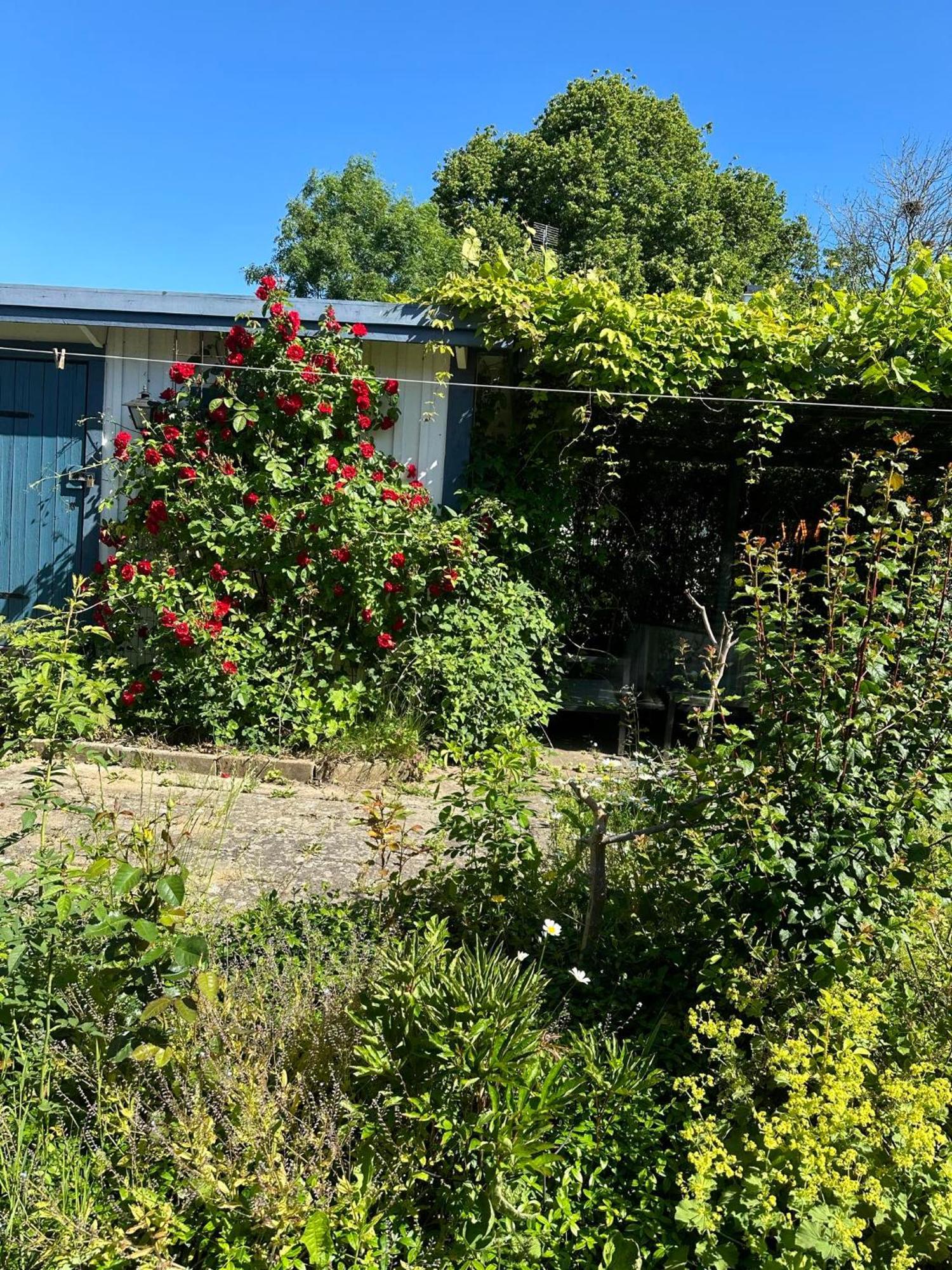 Villa Millans Dockhus Onslunda Exterior foto